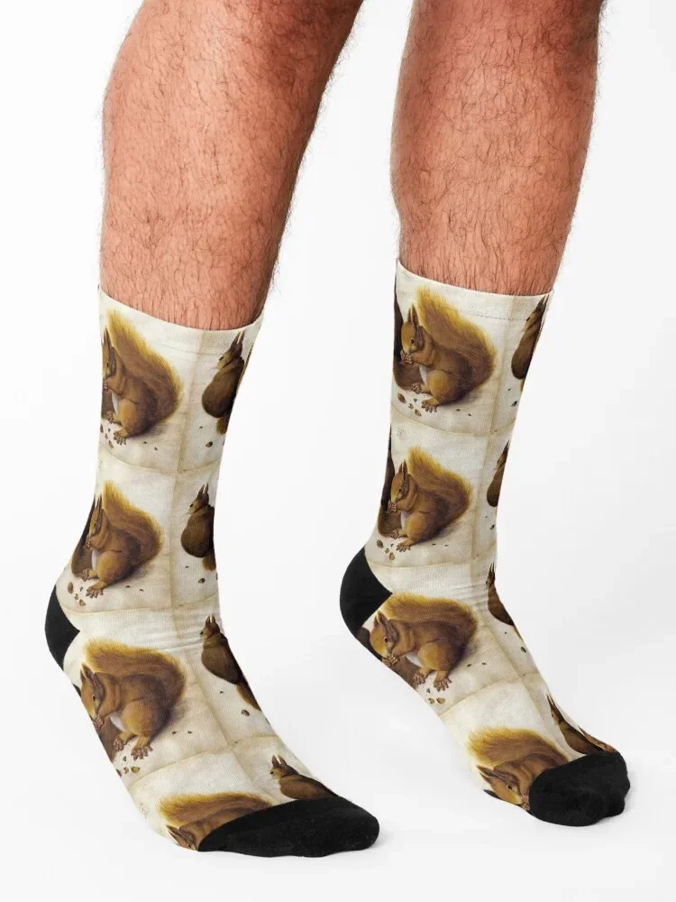 اثنين من السناجب من ألبريشت دورر الجوارب الموضة اليابانية عدم الانزلاق مخصص المرأة الجوارب الرجال #3