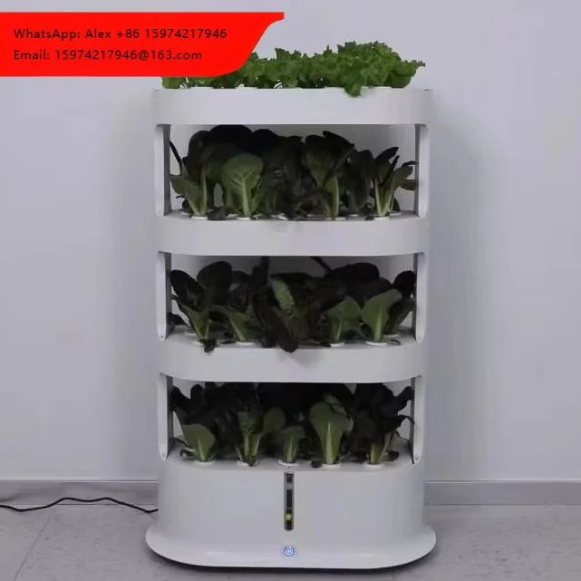 

Automatic Hydroponic Aquaponics Hydroponic Irrigation Farming Supplies Complete Vertical Hydroponic System For Grow Vegetables
