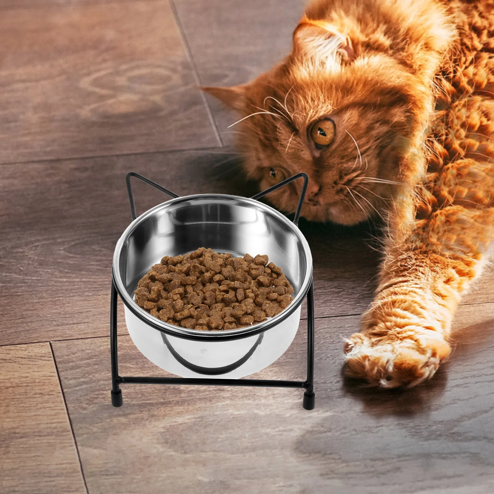 

Stainless Steel Double-Bowl Cat Feeder Elevated Pet Bowl Anti-Spill Neck Protection Design Easy Clean Stable Bottom Multiple