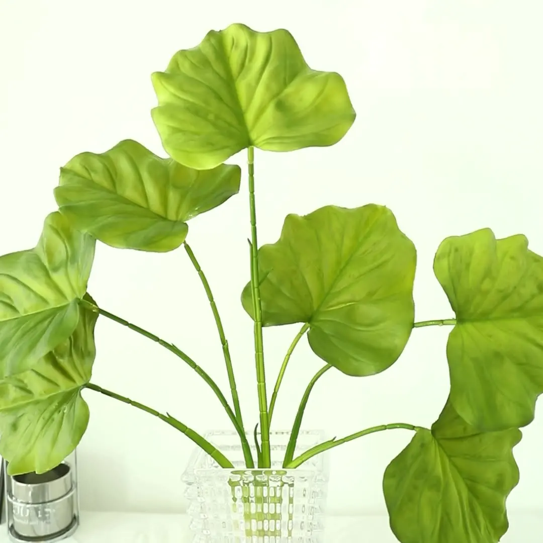 

Simulate Bundling Turtle Back Leaves Spring Rain Bamboo Taro Green Plants Fake Flowers Home Decoration Wedding Ornaments Feeling