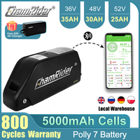 ChamRider E-Bike Battery 48V 30AH Battery 52V Electric Vehicle Bicycle  Polly DP-7 Lower Tube 40A BMS 350W 500W 750W 1000W 1500W