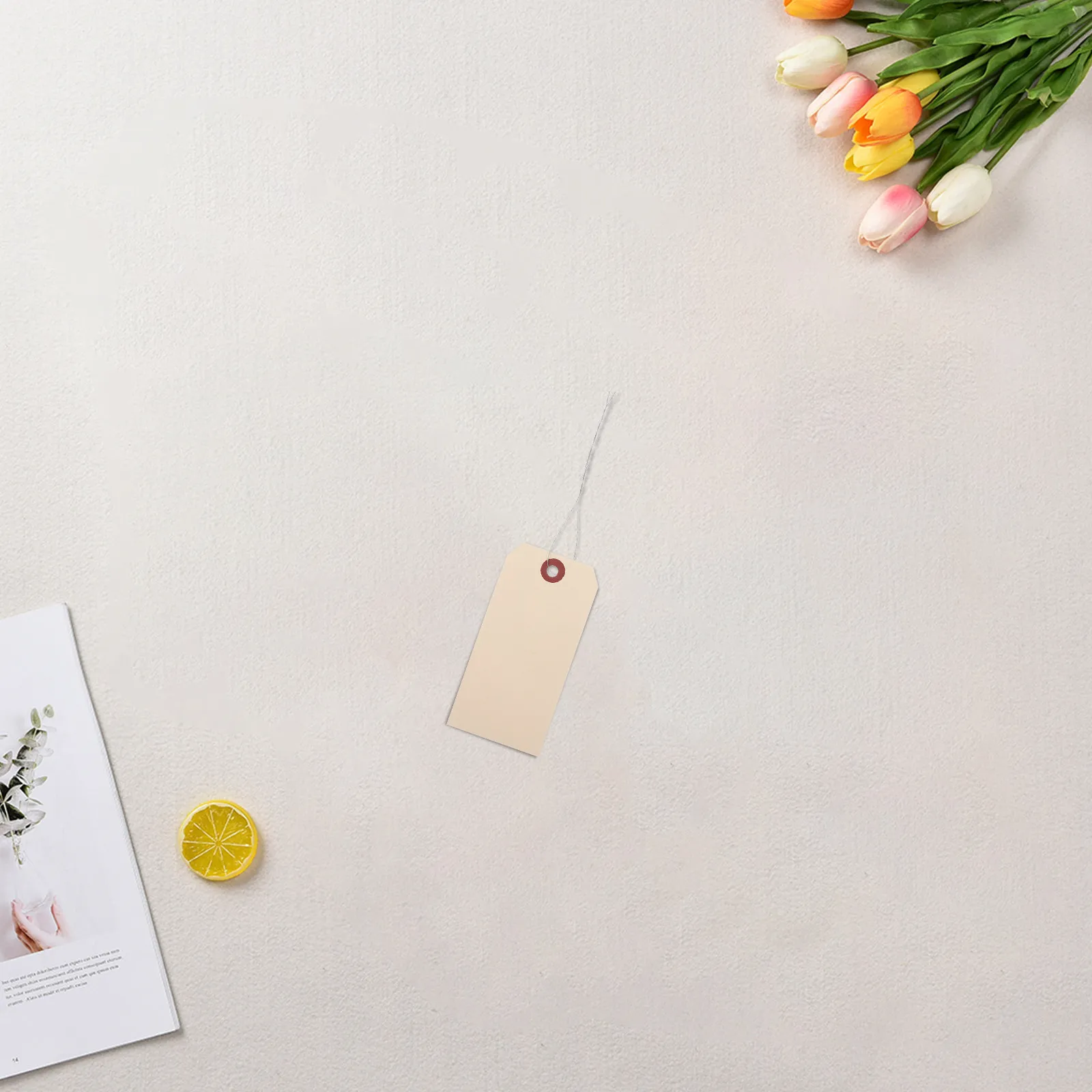 

50 шт. маркировочных бирок из манильской проволоки, пустые этикетки для упаковки и доставки с железными проволочными креплениями, прочные, не легко отсоединяются, легкие, портативные, для грузов