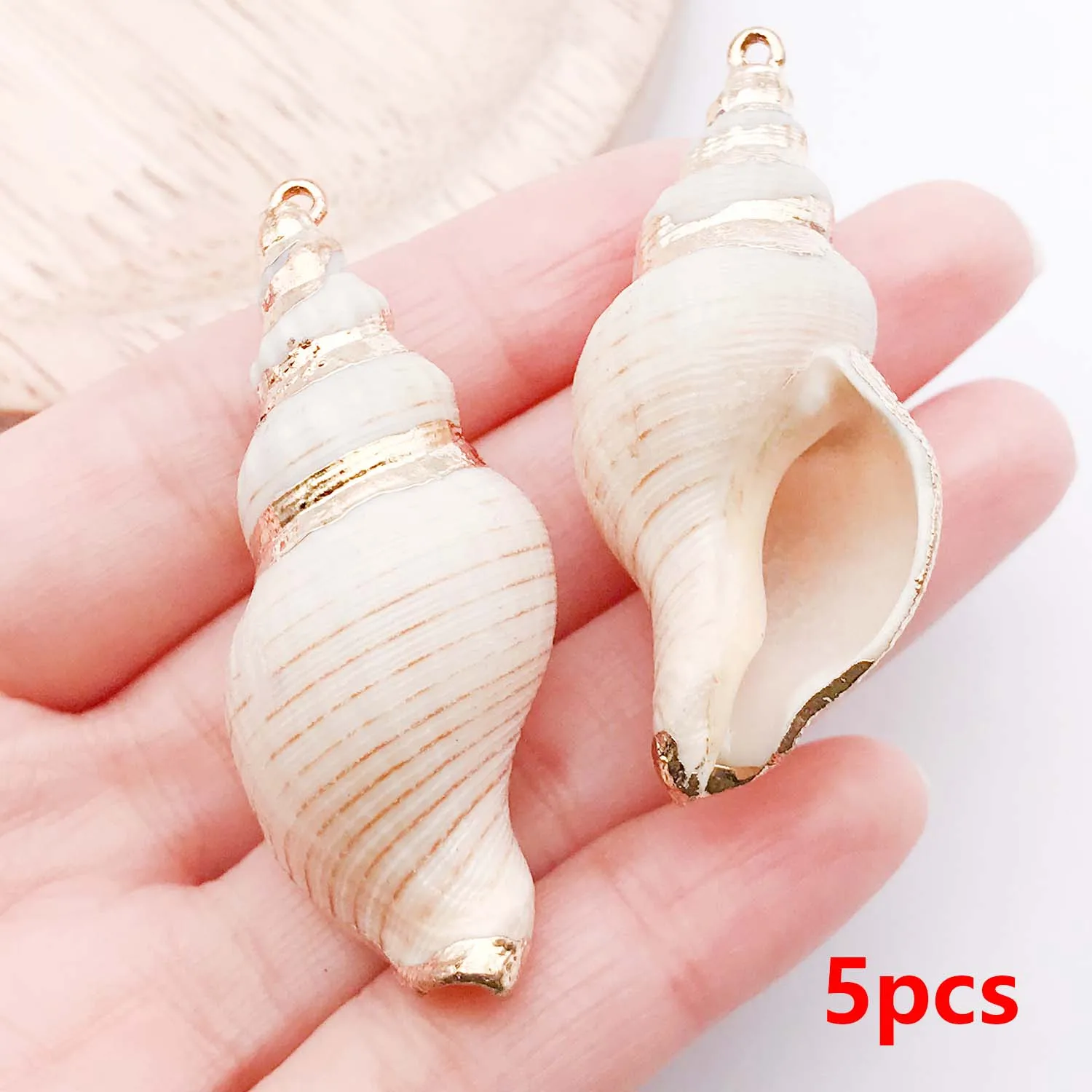 5pcs Natural Seashell Charms for DIY Jewelry Making