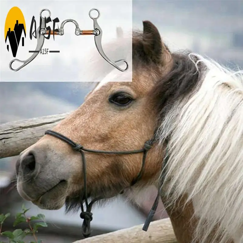 

A15F-Stainless Steel Snaffle Bit Horse Bits Horse Training Equipment For Mouth Training Bit With Copper Port