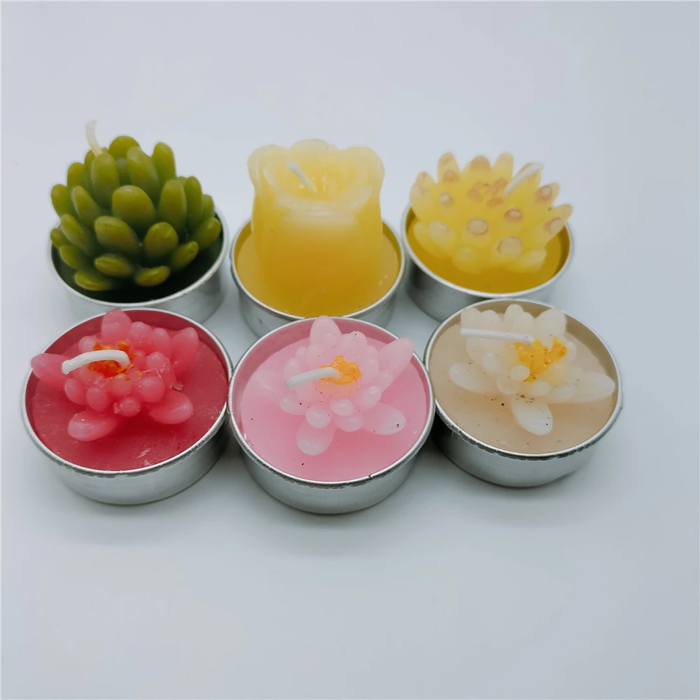 1Pcs Plant Modeling…