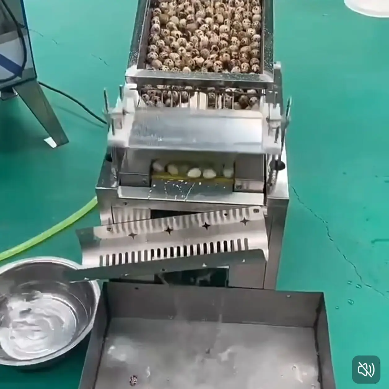 Commercial Automatic Quail Egg Shell Peeling Machine Quail Egg Peeler Quail Egg Sheller 10000pcs/h(about 150kg)
