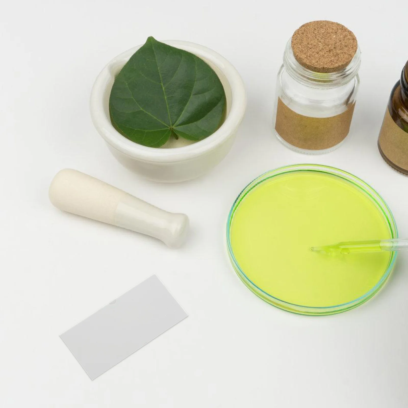 

100Pcs Glass Microscope Slides Durable Transparent for Specimen Preparation Laboratory Use Slides for Microscope