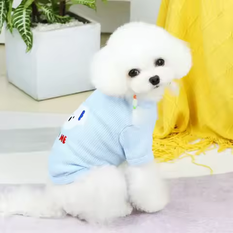 Dog T-shirt Summer Small Dog Clothes Pet Clothing Chihuahua Shih Tzu Yorkshire Terrier Poodle Schnauzer Bichon Dog Vest Costume