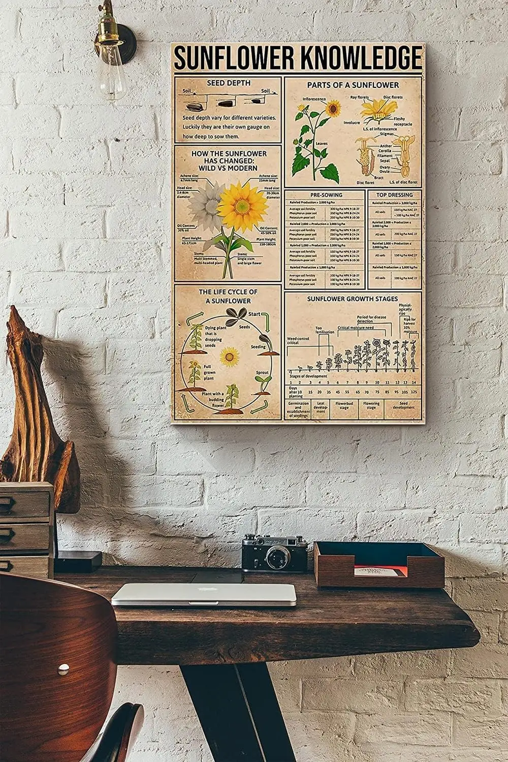 Youpinnong Sunflower Knowledge Panneau en aluminium et étain, Affiche murale rétro vintage sur le thème des connaissances de jardinage, pour la décoration de ferme