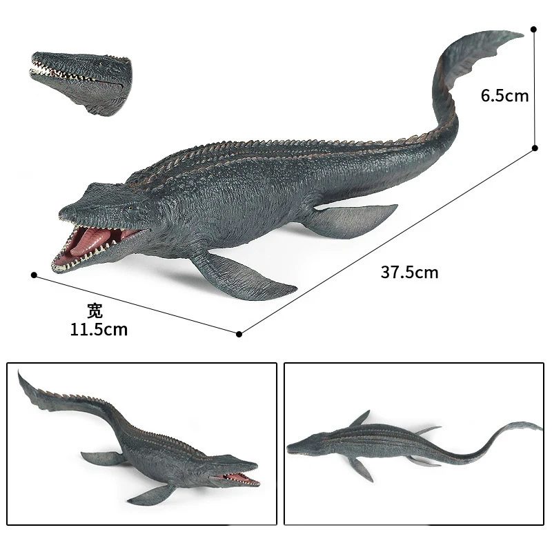 Figurines de baleine de la vie marine Montessori, requin d'Auckland, cachalot d'océan, modèles d'animaux, jouet de marteau, cadeau, 2023