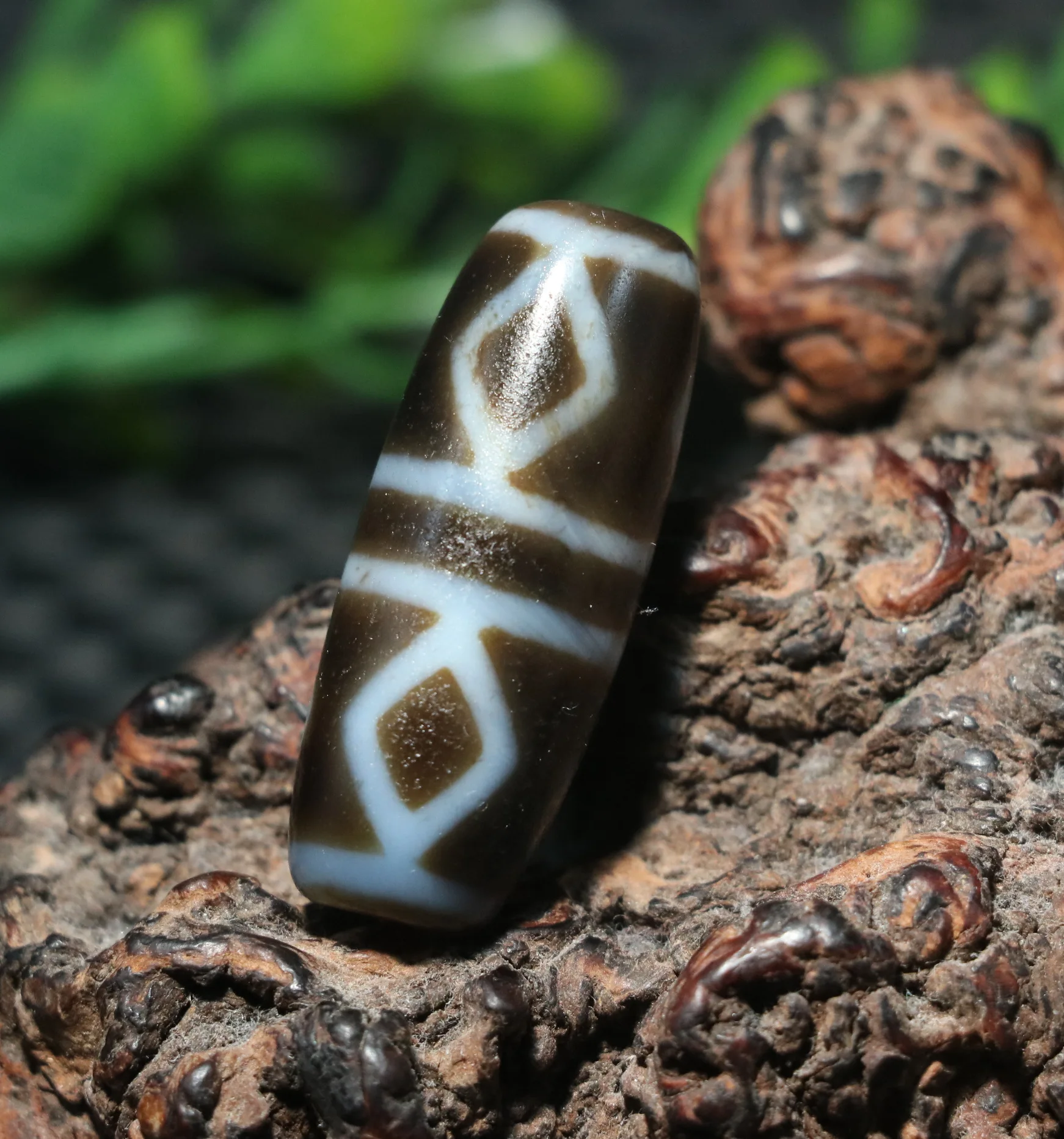 Treasure Unique Magic Tibetan Old Agate 6 Kingkong Eyed Top Symbol dZi Bead Amulet 5A Timestown UPD0205A