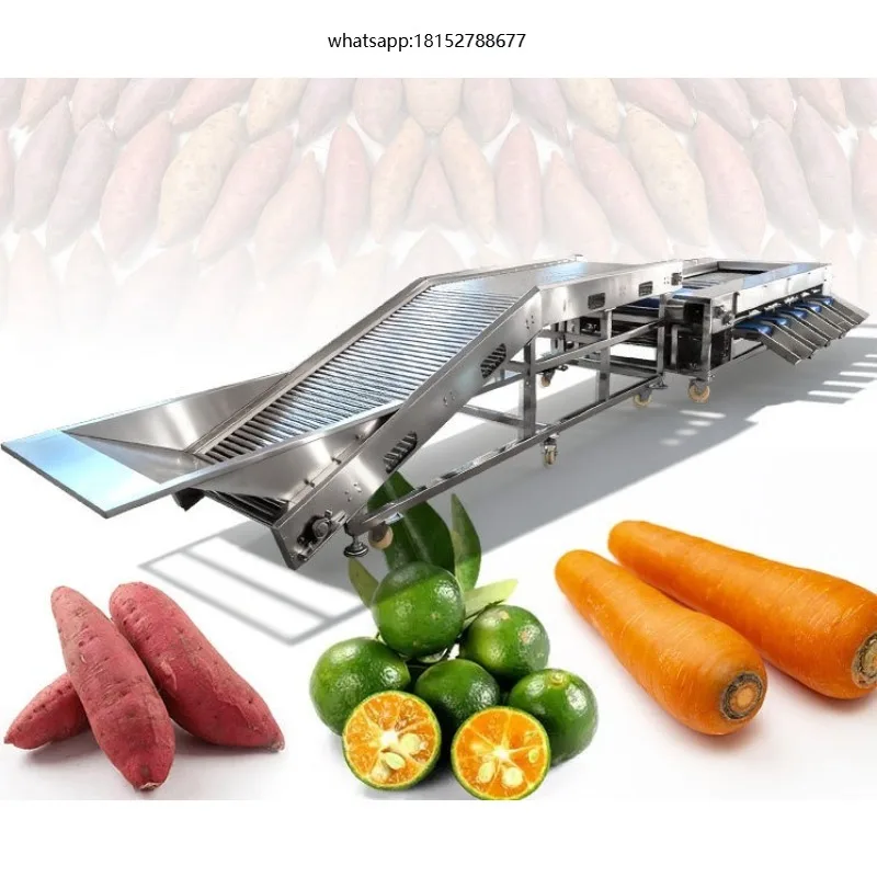 Vegetable Sorter Grader Machine