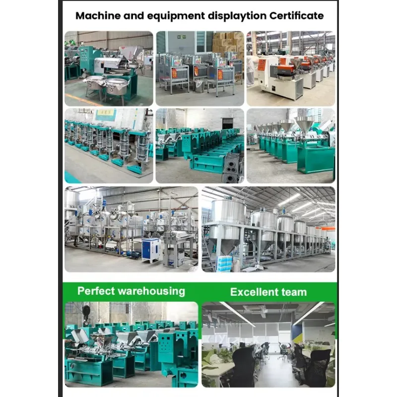 Hot SellingCooking Oil Making Machine 100 kg Per Hour Cold and Hot Press Oil Extraction Machine Oil Press Machine for Groundnuts