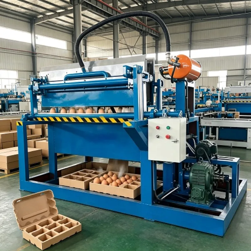 Easy Operation Heavy-Duty Egg Tray Loader Stainless Steel Egg Tray Machine Automatic Egg Tray Filling Machine