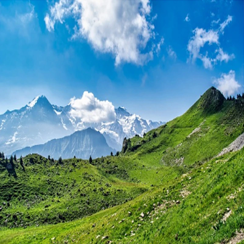 

C145 1404,5 Бесщеточный двигатель 14x04,5 мм Статор 4500 кВ с высокими оборотами 3-4S LV Сверхлегкий вал 13 г 1,5 мм для дронов FPV 3-4 дюйма