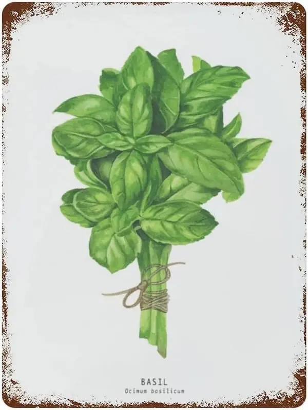 Basil Herb Metal Tin Sign Vintage Home Decor Funny Plants Iron Paintings Decor Novelty Kitchen Bar Club Garage Garden Farm Wall