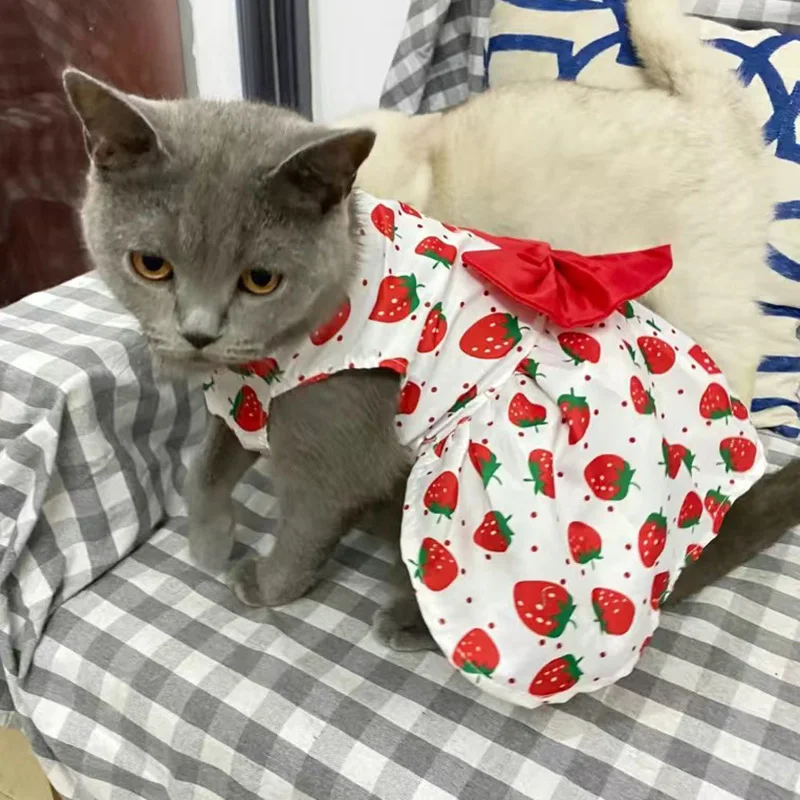 Summer Thin Sphynx Cat Skirt Dress Cute Print Pet Clothes for Cats Gotas Garfield Katten Kleding Suit Vestidos mascota sukienki