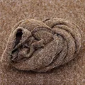 Coffee (wrap )
