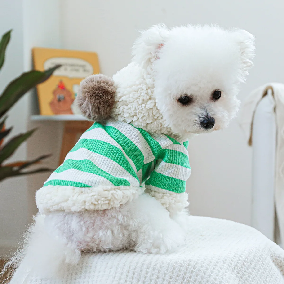 Pet Striped Hooded Sweatshirt Dog Fur Ball Lamb Wool Hat Clothes Autumn and Winter New Striped Sweatshirt Designer Dog Clothes