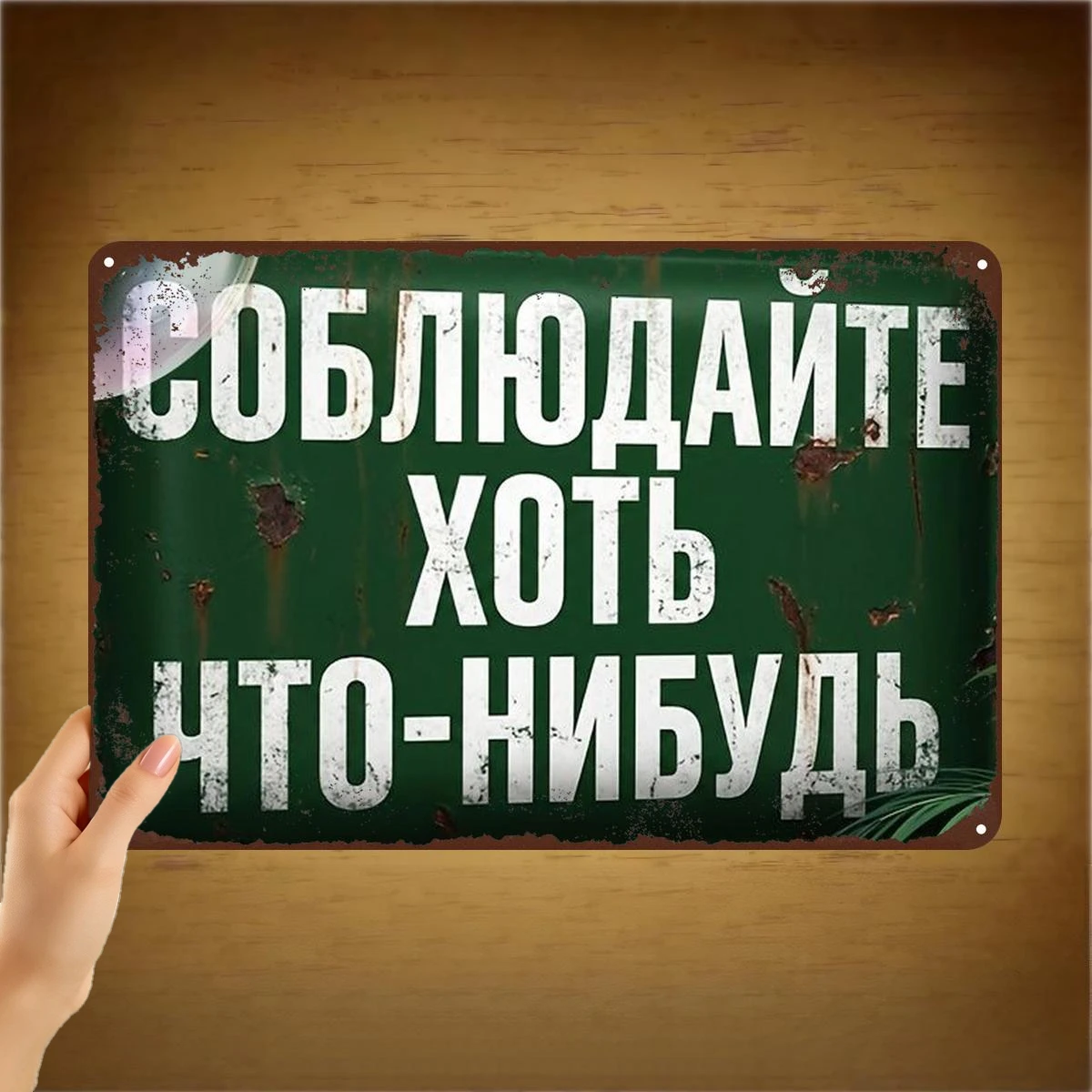 2D Flat, 2D Flat 1pc, 