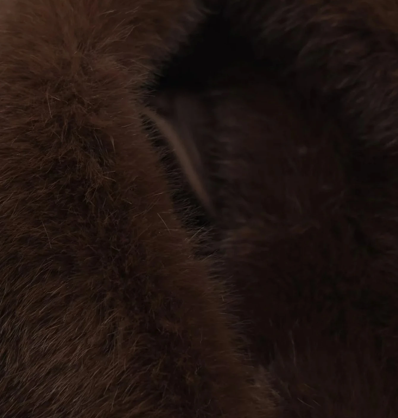 Nueva chaqueta cálida de piel sintética informal elegante Simple a la moda de estilo Retro para mujer/abrigo corto de piel