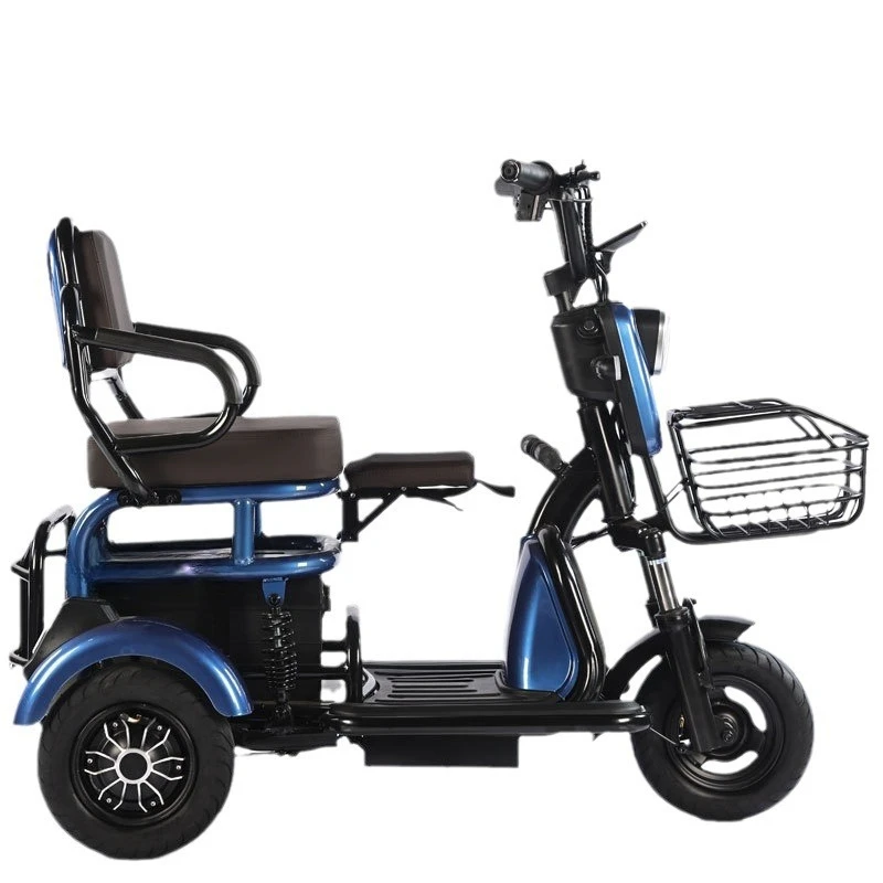 

Parent child elderly adult leisure transportation lithium lead oxide battery electric small