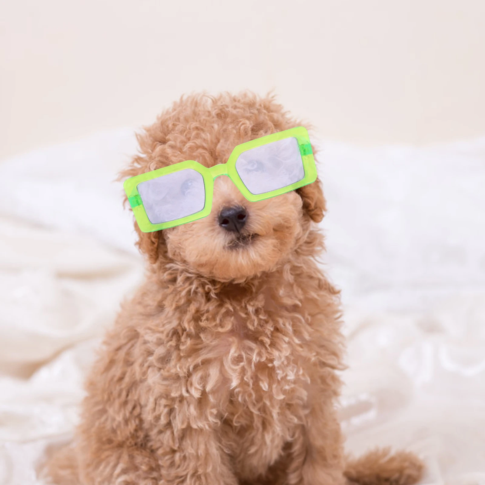 

Glasses Puppy Party Eyeglasses Fashionable Photo Props Transparent Dog Accessories High Quality PP Material Comfortable Wear Dog