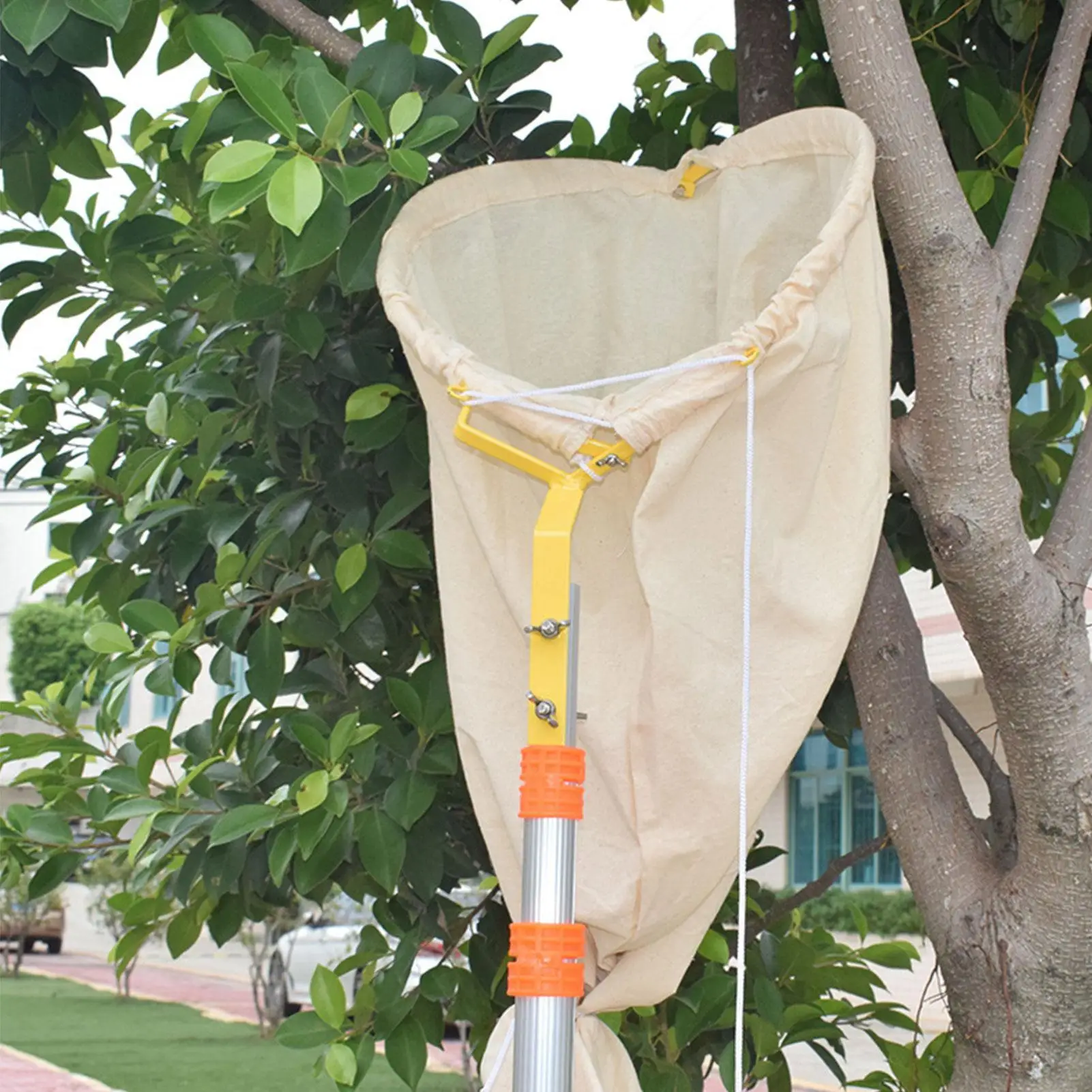 Bee Swarm Catcher Bag Telescopic Bag Bee Tools for efficient Telescopic Bee Bag Catcher Tool Steel handle Portable Bee Collect