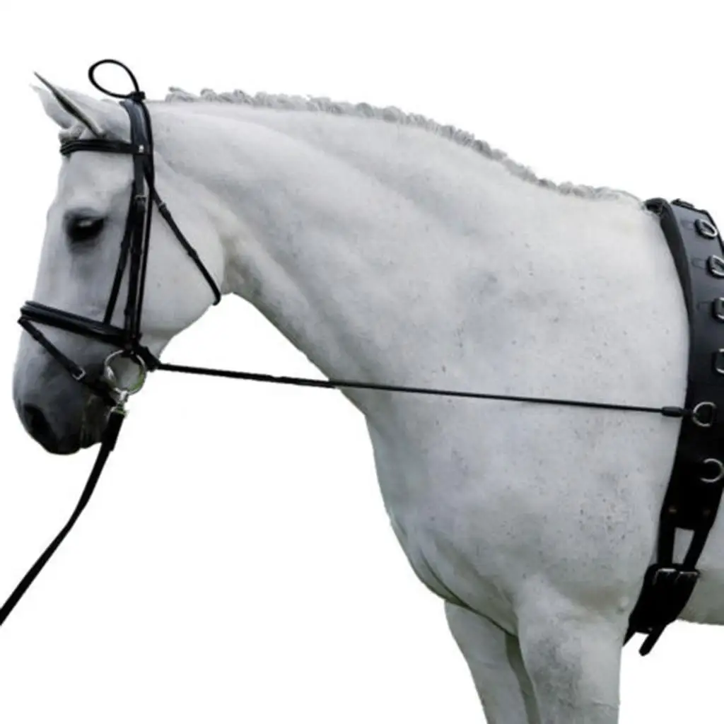 10ft stretcher fo neck Horse Dressage Black Equestrian Supplies with