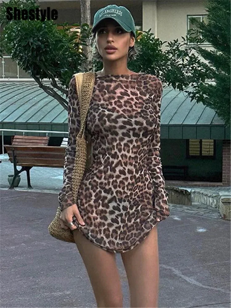 

Leopard Sexy A-Line Dress Women Two Piece Sets Mesh See Through Fashion Extremely Hot High Street Animal Print Stylish