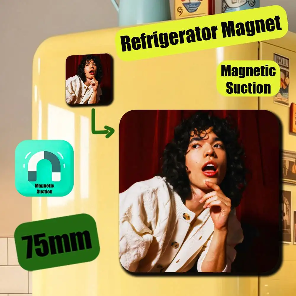 For Conan Gray Wishbone Fridge Magnetic Cards Cover Metal Icebox Cabinet Custom Refrigerator Magnets
