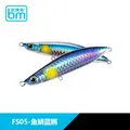 FS05