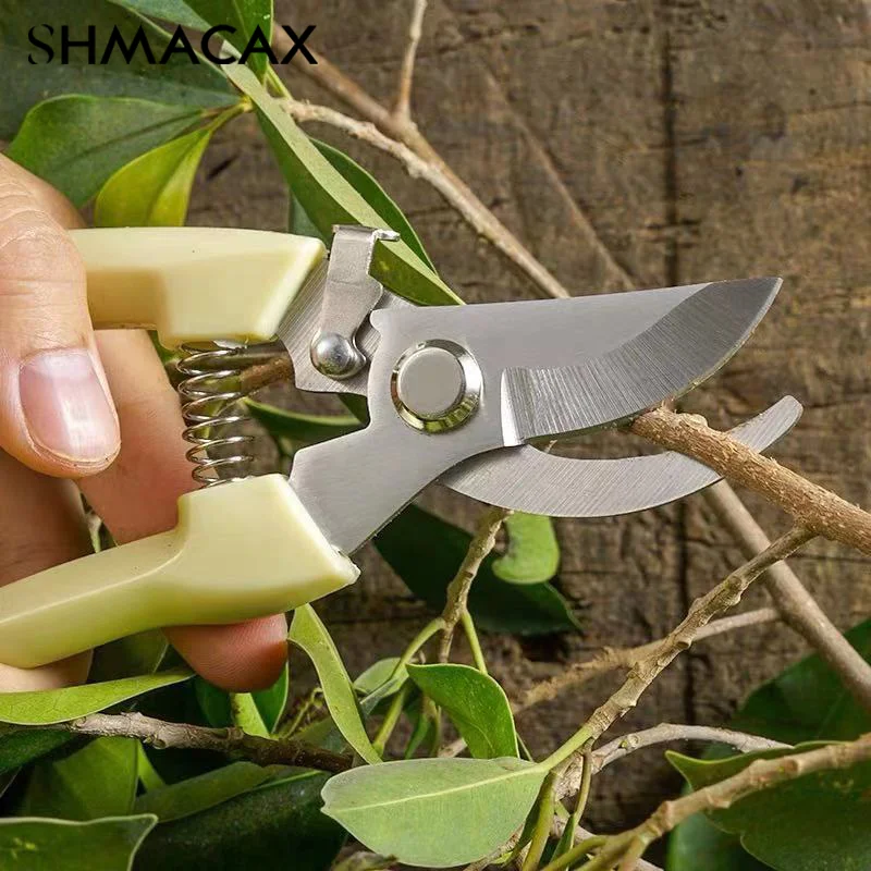 Gunting pangkas bunga Stainless Steel, gunting Stainless Steel, gunting cabang berkebun, gunting pohon buah, gunting ranting taman, 1 buah