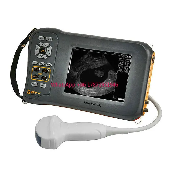 

Farmscan L60 handheld palm portable ecografos ecografo portatil for cattle equine porcine pig sheep portable ultrasound machine