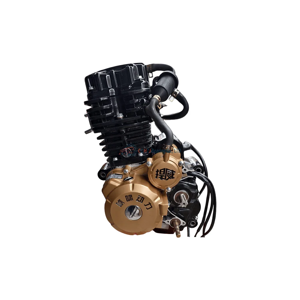 

Motorcycle Water-cooled Engine Assembly 300cc