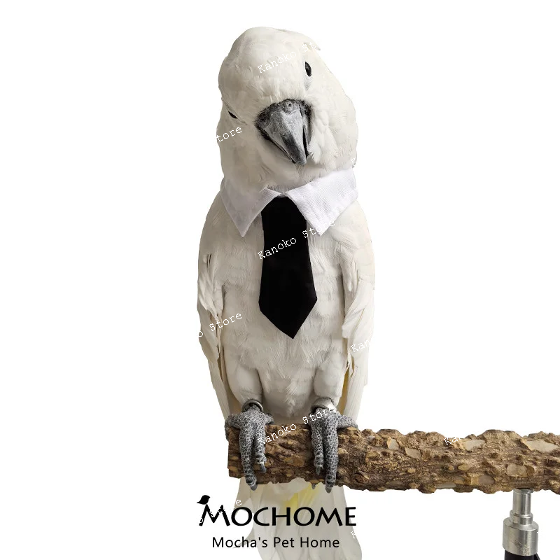 

Чехол на шею с головой подсолнечника и попугая, теплая маленькая одежда, подходит для больших попугаев (не для маленьких попугаев)