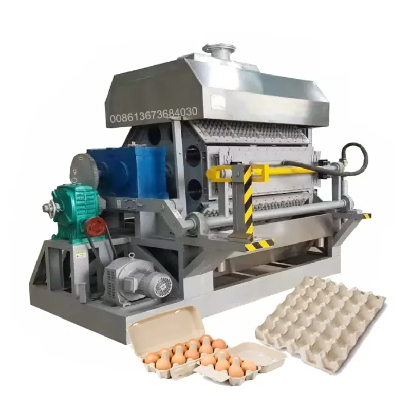 Is the Customized Automatic Egg Tray Making Machine the Right Investment for Your Paper Recycling Business? A Deep Dive into Performance and Customization