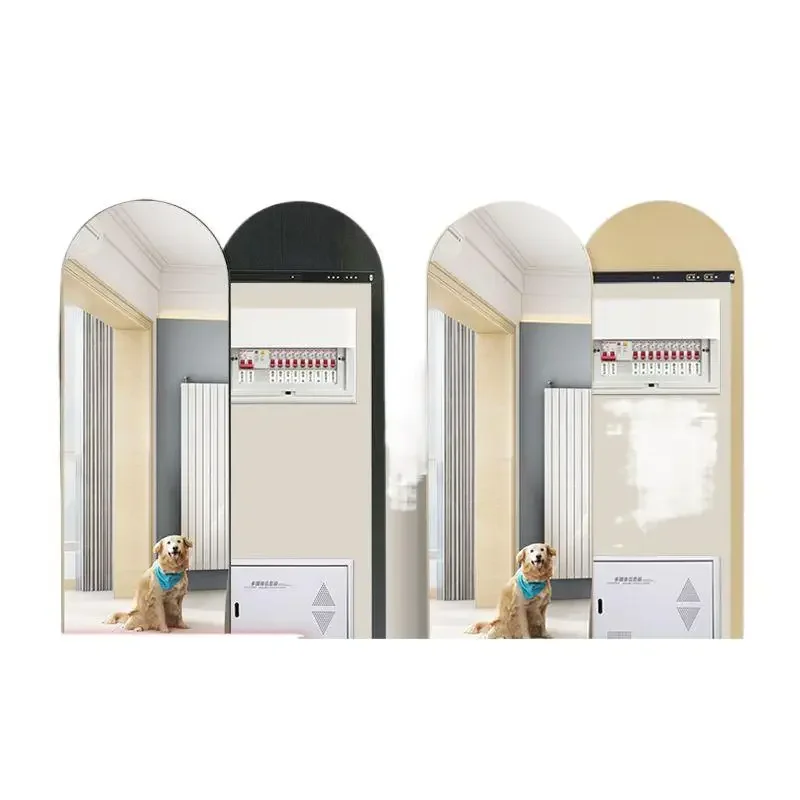 

full-length mirror, occlusion, electricity meter, home entry, mirror, wall hanging, hidden