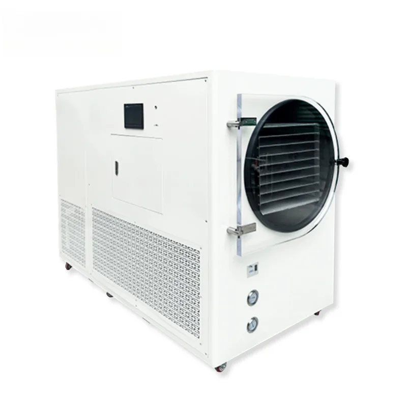 2kg-20kg Home Use Vacuum Freeze Dryer For Long-lasting Preservation Of Fruits Meat Coffee And Dairy Products With High-quality