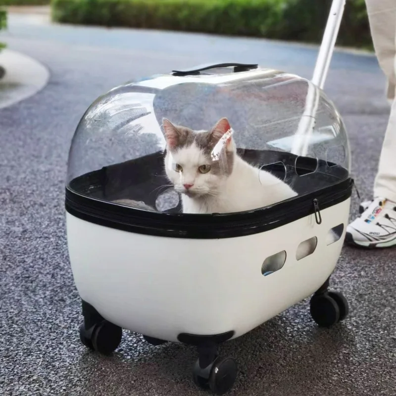 

Pet Angel Luxury Cat Carrier Trolley Case Large Transparent Portable Cat Luggage With Zipper Elegant Animal Pattern Cat Bag