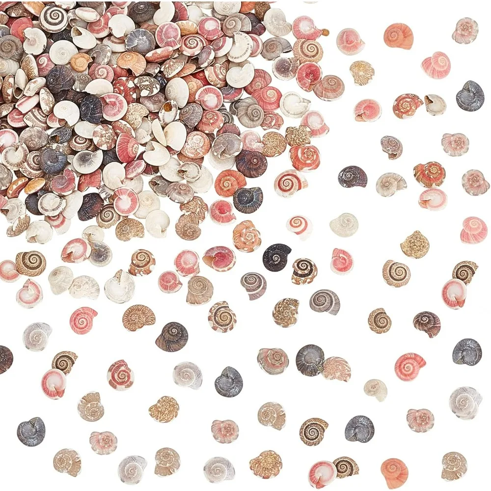 Tiny Sea Shells No Hole 190g Colorful Spiral Ocean Beach Seashells Small Turbo Shells Shell Charmd for Resin Party making kit