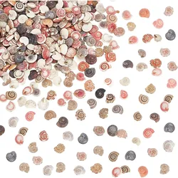 Tiny Sea Shells No Hole 190g Colorful Spiral Ocean Beach Seashells Small Turbo Shells Shell Charmd for Resin Party making kit