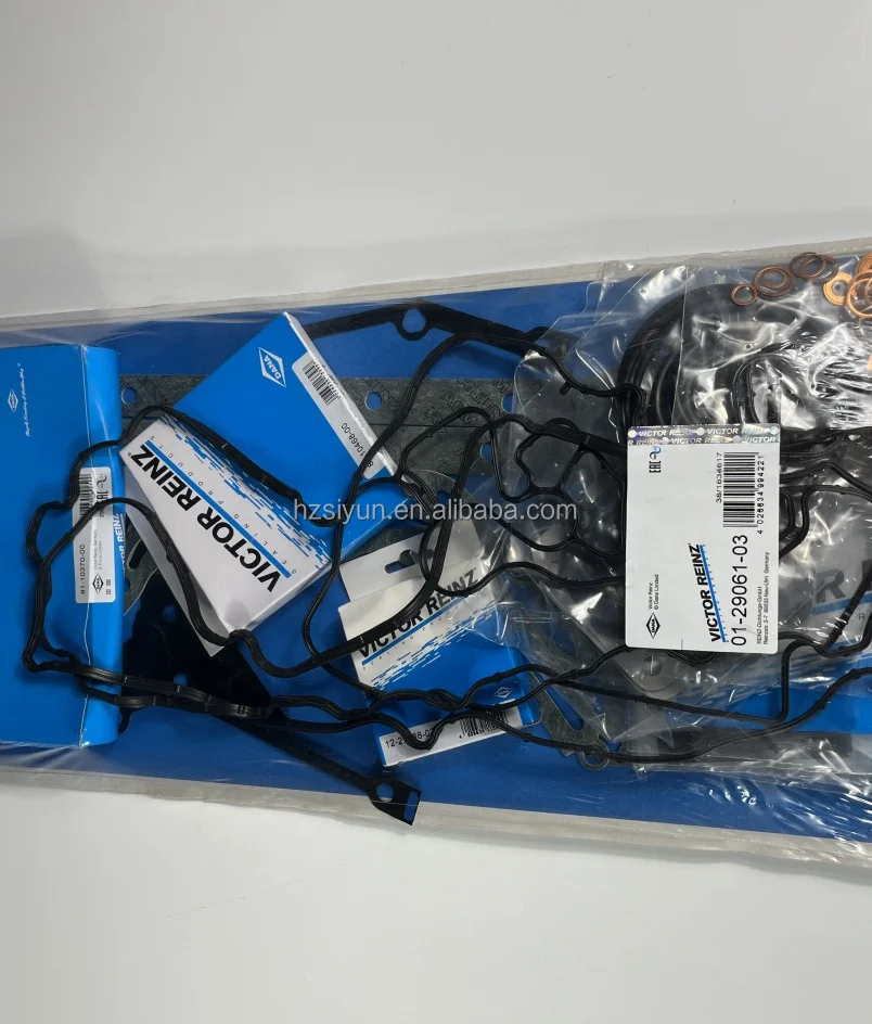 2025splendido per Volvo 15011856 per DEUTZ 02937588 02931662 REINZ 01-29061-03 Escavatore Parte del motore Macchine edili Const