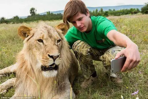 Wltoys 144001 144002 144010 144016 144018 Metalen Chasis Protector Bodembescherming 1/14 RC Auto Upgrade Onderdelen