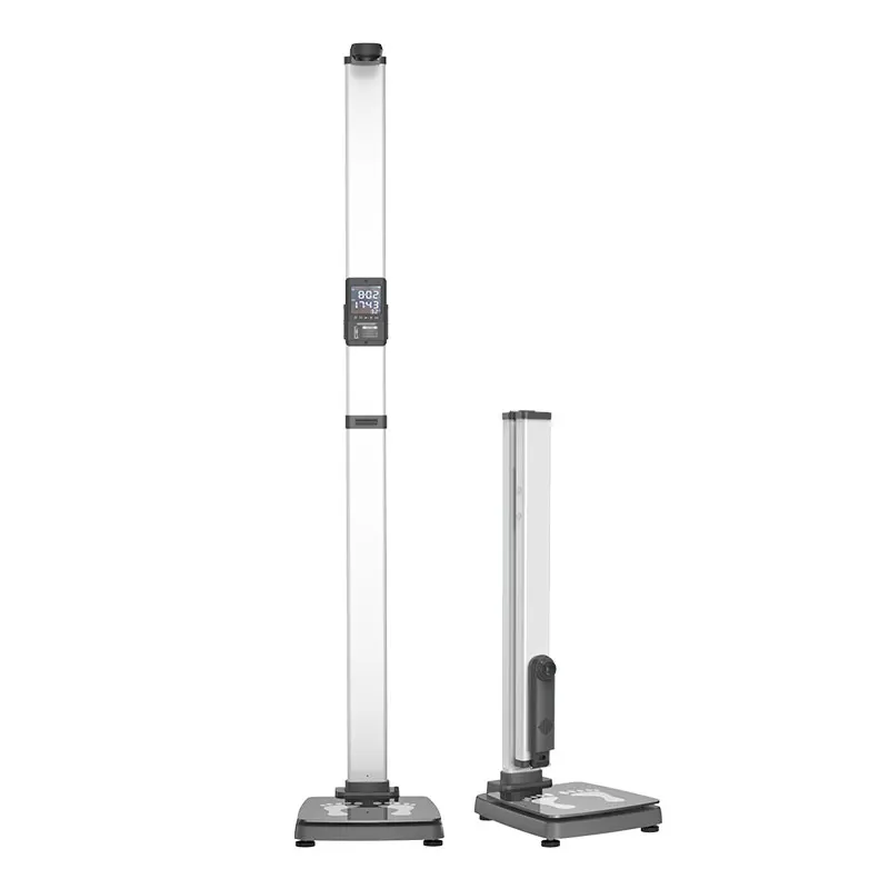 Gym Height And Weig… - image