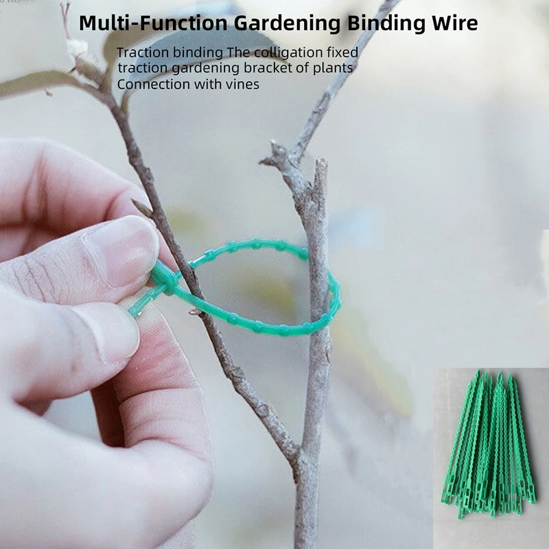 50 Stuks Verstelbare Plastic Plant Kabel Bindt Herbruikbare Tuin Boom Klimmen Ondersteuning Plant Wijnstok Tomaat Clip Plant Riemen Gereedschap