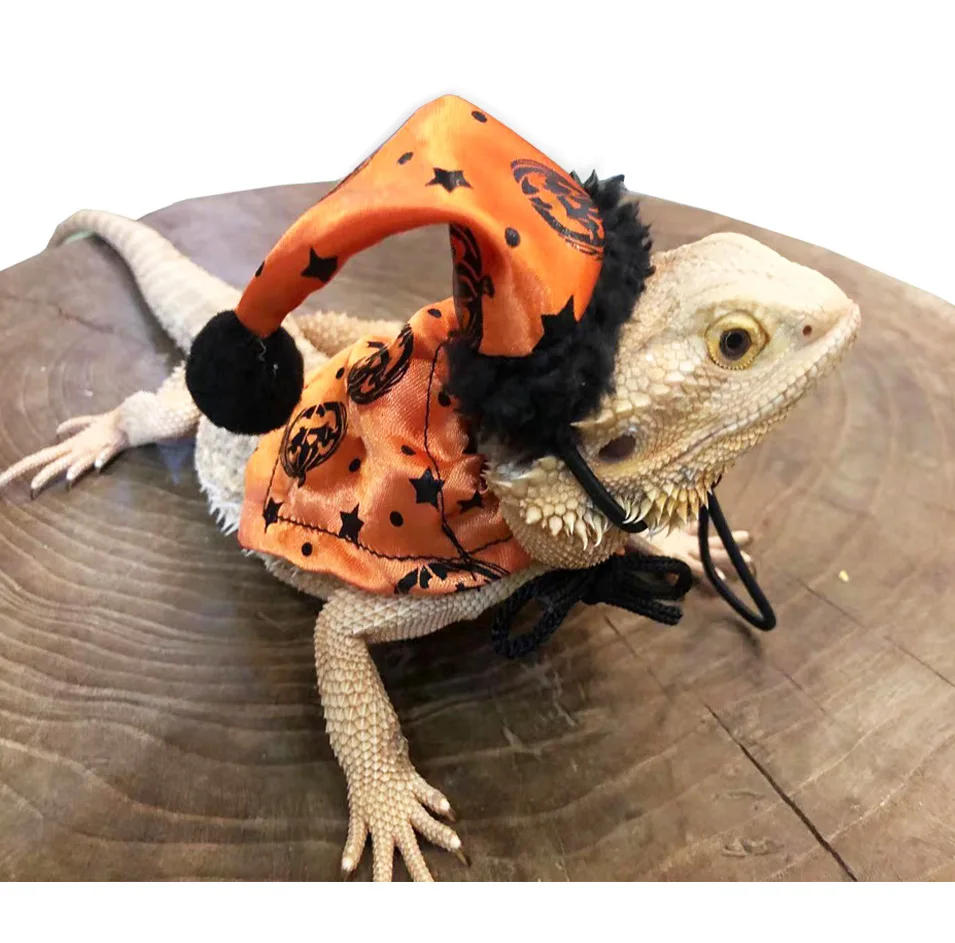 Lizard Halloween Leash Santa Hat Climbing Pet Out Cape Suit Walking Lizard Pet