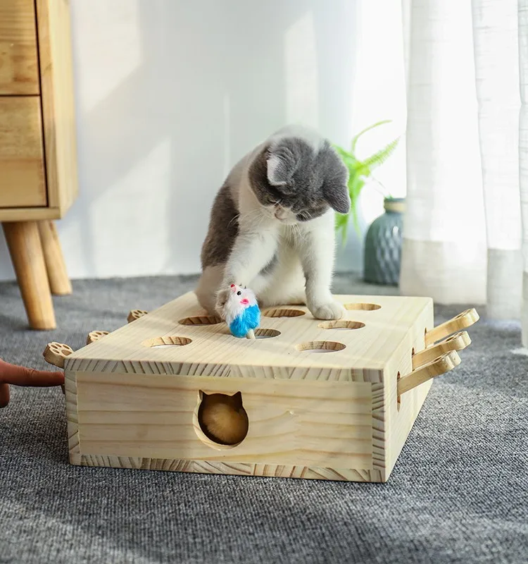 ألعاب القطط، ألعاب القطط جوفر، ألعاب تفاعلية للقطط #3