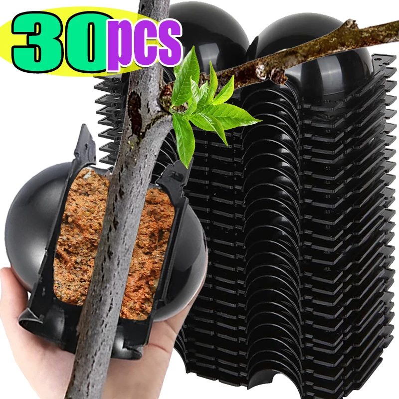 30/5PCS Plant Rooting Ball Grafting Rooting Box Breeding Case Plant Root Growing Box Propagation Jardinage Garden Planting Tools