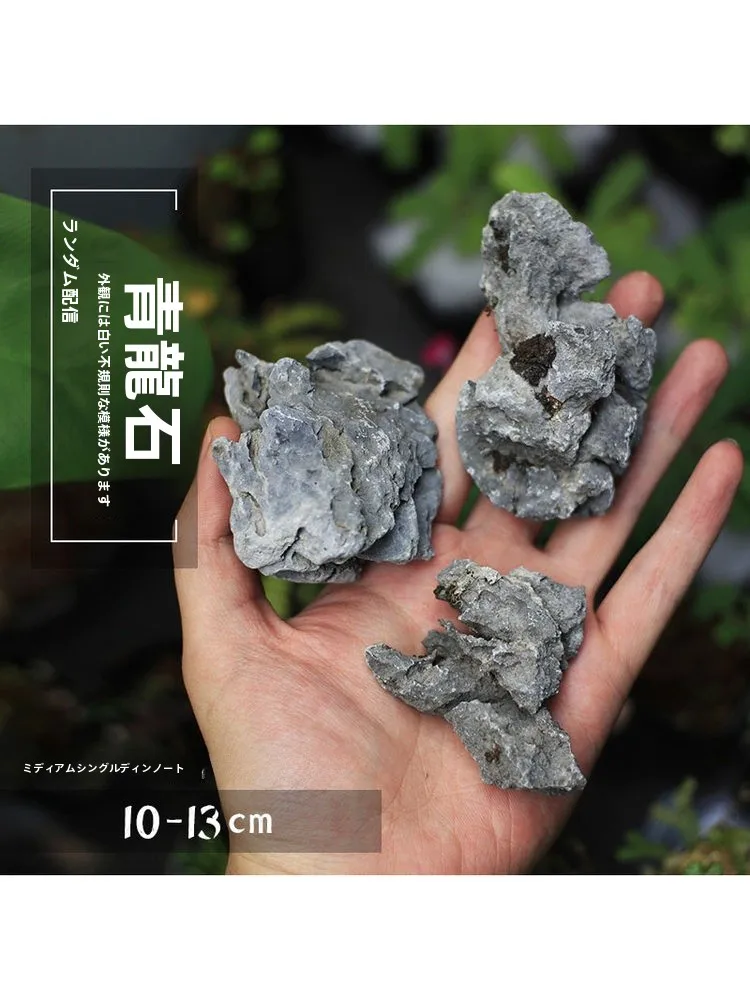 �y�Z�[�����z�~�j�~�͐������i�����΃}�C�N�����i�����i�V�R�f�ޒ����������ݔ�